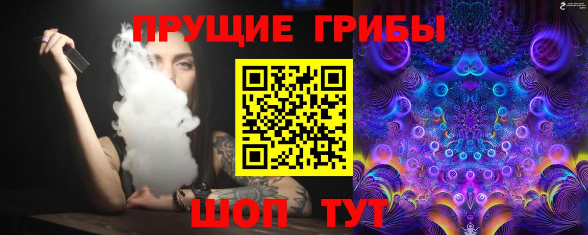 Галлюциногенные грибы Psilocybine cubensis  Вход с VPN  Озёрск 
